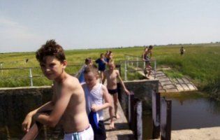 «Тут купаються діти»: у селі на Волині річку отруїли купою курячого посліду (фото)