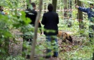 «Пані» вирішила «проблему»: у Польщі тіло заробітчанина-українця викинули в ліс (фото 18+)