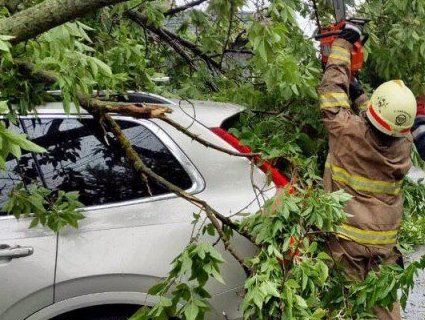 Буря в Києві: дерева падали на будинки, автомобілі, людей (фото, відео)