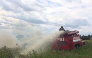 На Волині через запалене сміття вигоріло поле (фото)