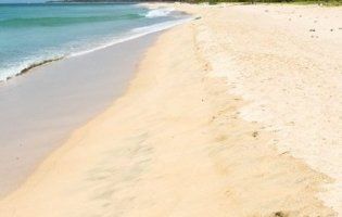 «Пожирають плоть»: небезпечні бактерії окупують пляжі