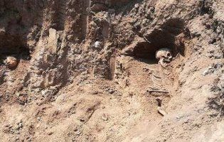 На Тернопільщині  на смітник викинули 14 могил Січових Стрільців