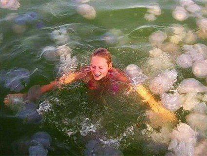 На популярному курорті України – інвазія гігантських медуз (відео)