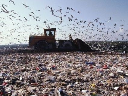Україна – у десятці країн з кількості сміття на людину