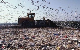 Україна – у десятці країн з кількості сміття на людину
