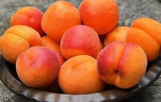 Смачно і корисно: чому варто їсти абрикоси