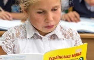У КСУ визнали конституційною мовну статтю закону про освіту