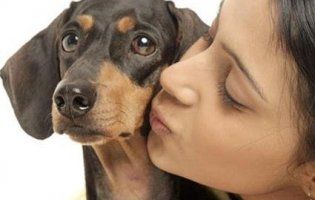 Домашні улюбленці: американці цілують собак частіше, ніж партнерів