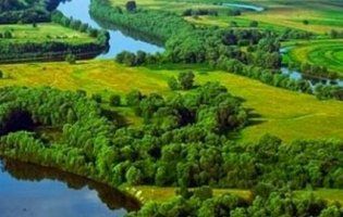 Кліматичні зміни: в Україні зникає Полісся