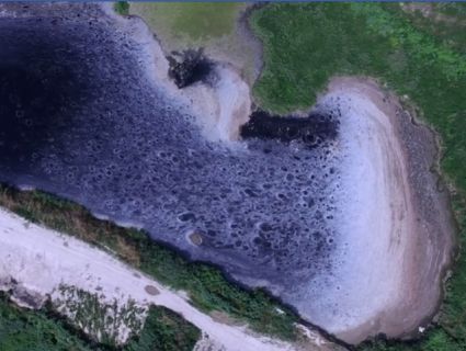 «Тухлі ріки, фекальні береги»: сморідні поля фільтрації під Луцьком показали з висоти (відео)