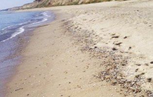 На Одещині протягом двох днів буде закрита частина популярних пляжів