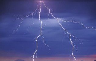 На Волині через блискавку загинув кінь, його власник – у реанімації