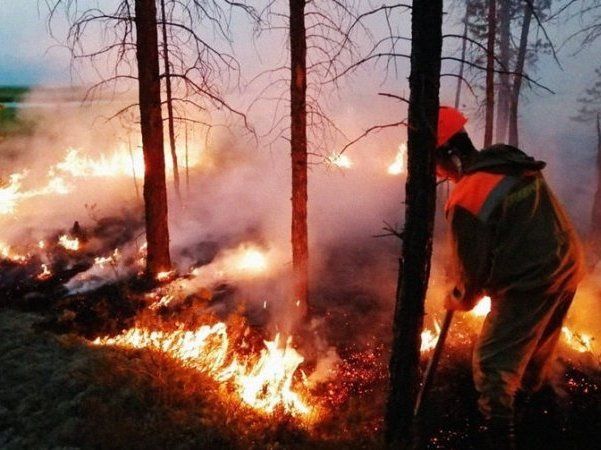 Пожежі в Сибіру паралізували видобуток нафти у Росії