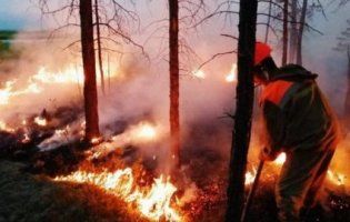 Україну минуло: назвали наслідки пожеж в Сибіру для світу