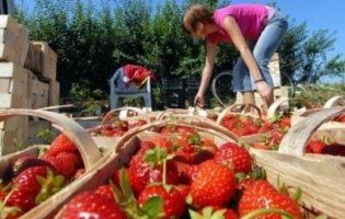 Масова трудова міграція в Україні – нормальне явище, заявляють фахівці (відео)