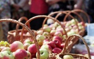 Яблучний Спас: історія і традиції свята