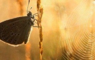 Повідомили, якою буде погода на День незалежності