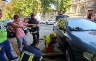 Під припаркованим авто провалився асфальт (відео)