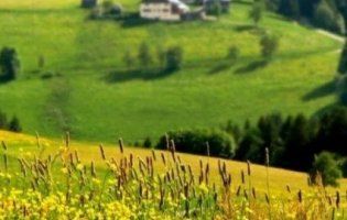 Повідомили, якою буде погода на вихідних