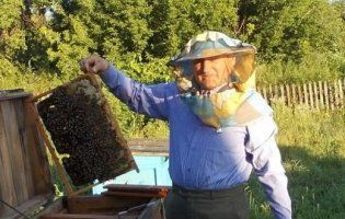 У серпні пасічники готують сироп для бджіл