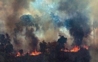 «Легені землі» зчорніли: як виглядає з космосу глобальне лихо – пожежі в Амазонії