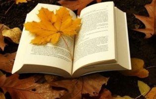 Повідомили, якою буде погода на початку осені