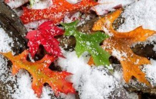 Сувора осінь в Україні - морози і дощ зі снігом: пообіцяли синоптики