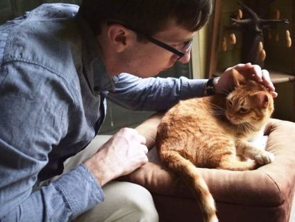 Ветеринарна клініка шукає професійного «гладильника котів» за €25 тисяч у рік