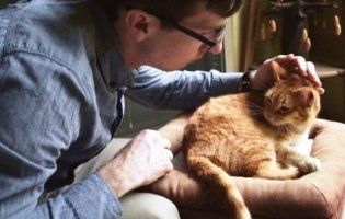 Ветеринарна клініка шукає професійного «гладильника котів» за €25 тисяч у рік