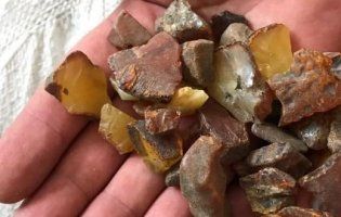 За незаконний видобуток бурштину – у в'язницю: Зеленський вніс жорсткий законопроект (відео)