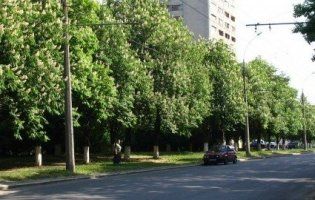 Жукова у відставку: суд скасував рішення місцевої влади Харкова про перейменування проспекту