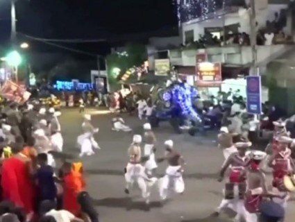 На Шрі-Ланці на релігійному фестивалі ряджені слони розтоптали 18 людей (відео)
