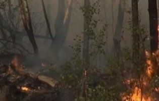 Страшну пожежу в Чорнобильській зоні спричинила жіноча помста (фото)