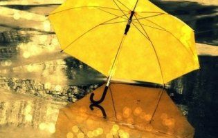 Кліматична осінь: коли чекати похолодань і дощів