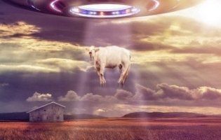 Заборонено паркувати НЛО і зливати воду в унітазі: найбезглуздіші закони (відео)