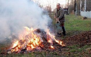Коли сусіди спалюють листя: як врятуватися від токсичного диму