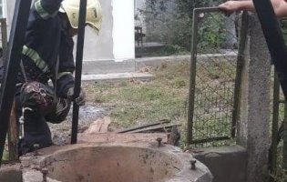 На Рівненщині кота рятували з 10-метрового колодязя