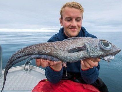У Норвегії впіймали рибу-монстра