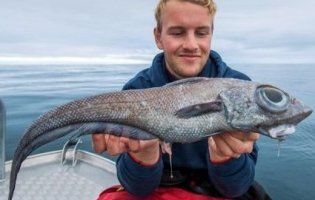 У Норвегії впіймали рибу-монстра