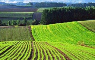 В Україні відкриють ринок землі! (ВІДЕО)