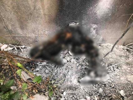 Вибух у Луцьку: біля школи живцем згорів чоловік