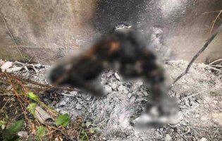 Вибух у Луцьку: біля школи живцем згорів чоловік