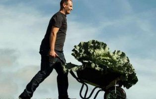 Майже 300-кілограмовий гарбуз і метровий огірок: фермери мірялись овочами (фото)