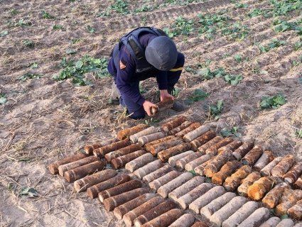 «Мінне поле»: на городі у волинському селі викопали півтисячі снарядів (фото)