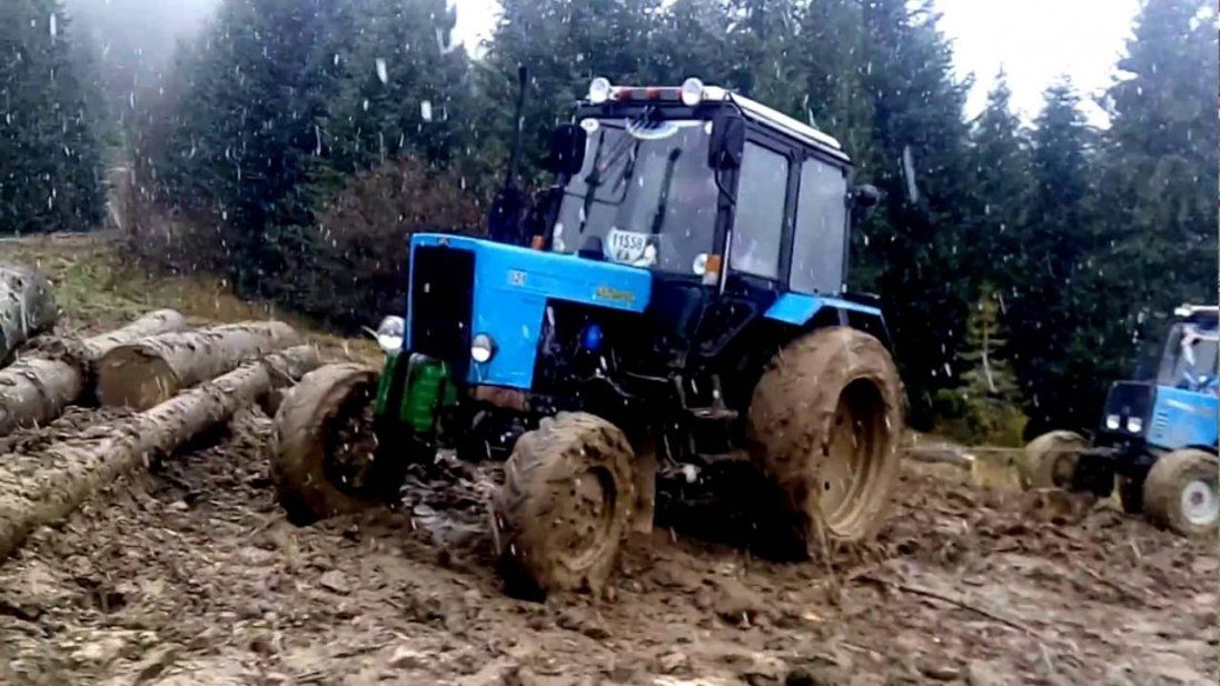На Рівненщині «повсталі лісоруби» викрали конфіскований трактор з-під арешту