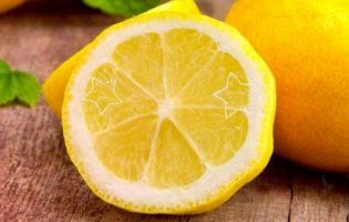 Реакція песика на лимон розсмішила мережу (відео)