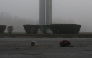 Потролили владу: ями на в’їзді до Луцька перетворилися на клумби (фото)