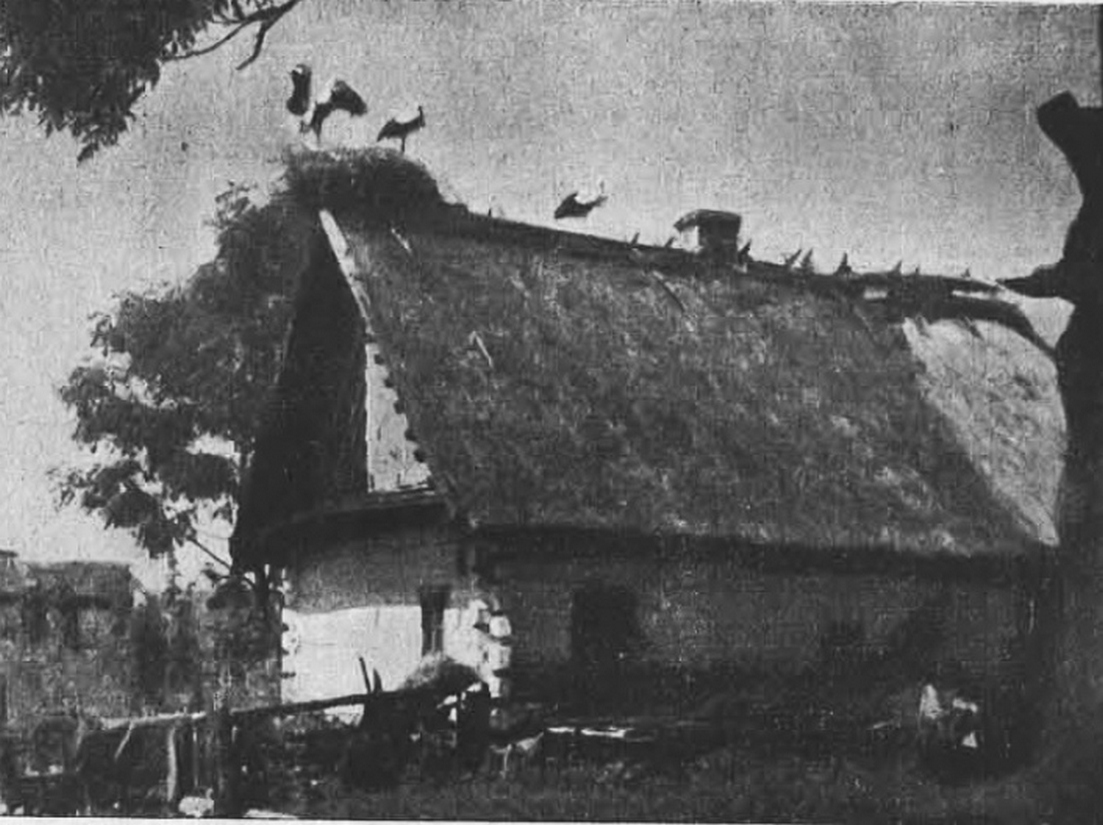 Селянська хата в с. Кортеліси, 1939 рік