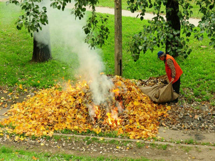 Небезпечно палити опале листя