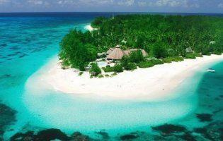 Де відпочити взимку: сонячні Шрі-Ланка та Об’єднані Арабські Емірати чи засніжені Словаччина та Болгарія